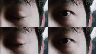 湖人进过几次季后赛