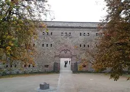 莱茵哈鲁特与帕克对决是因为昂死了吗